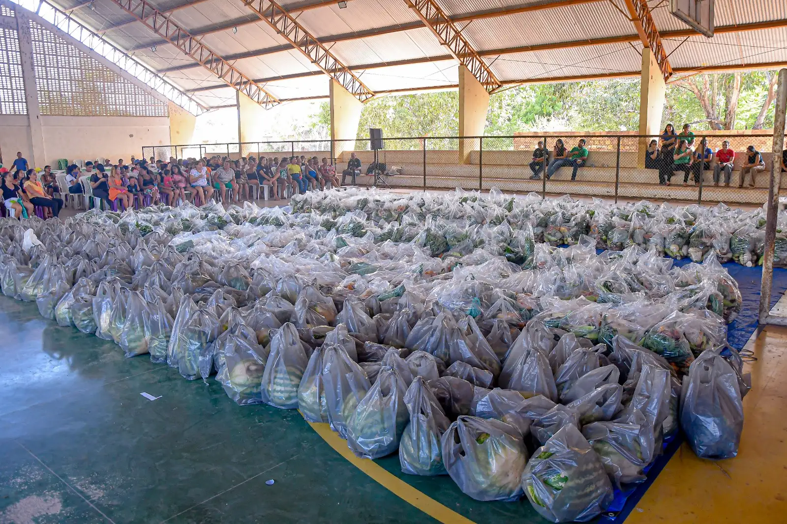 Foto 2 – Cestas verdes beneficiam 500 famílias e reforçam ações de segurança alimentar em Codó