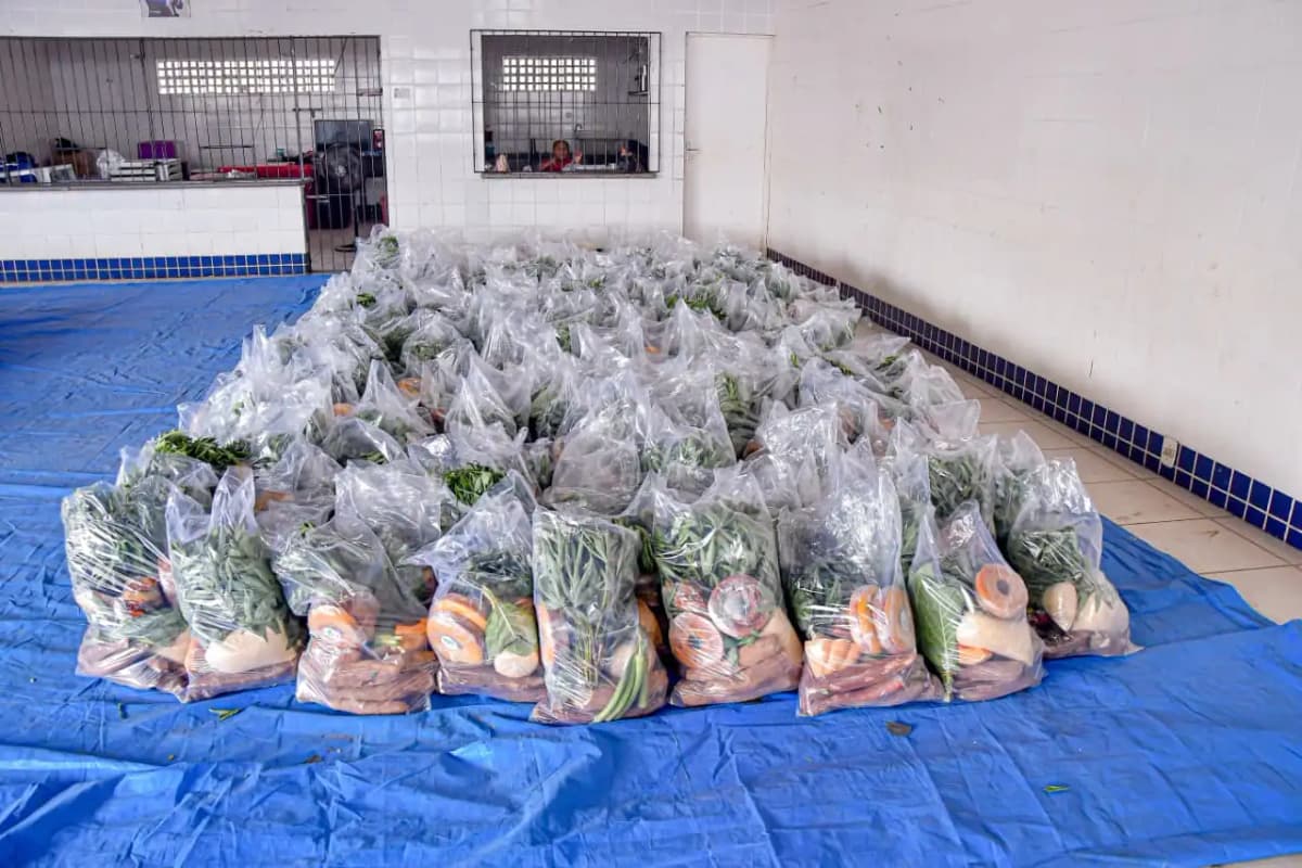 Foto 6 – Famílias de quatro bairros de Codó são beneficiadas com cestas verdes