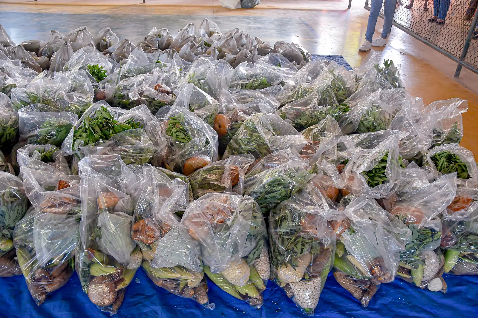 Foto 5 – Cestas verdes beneficiam 500 famílias e reforçam ações de segurança alimentar em Codó