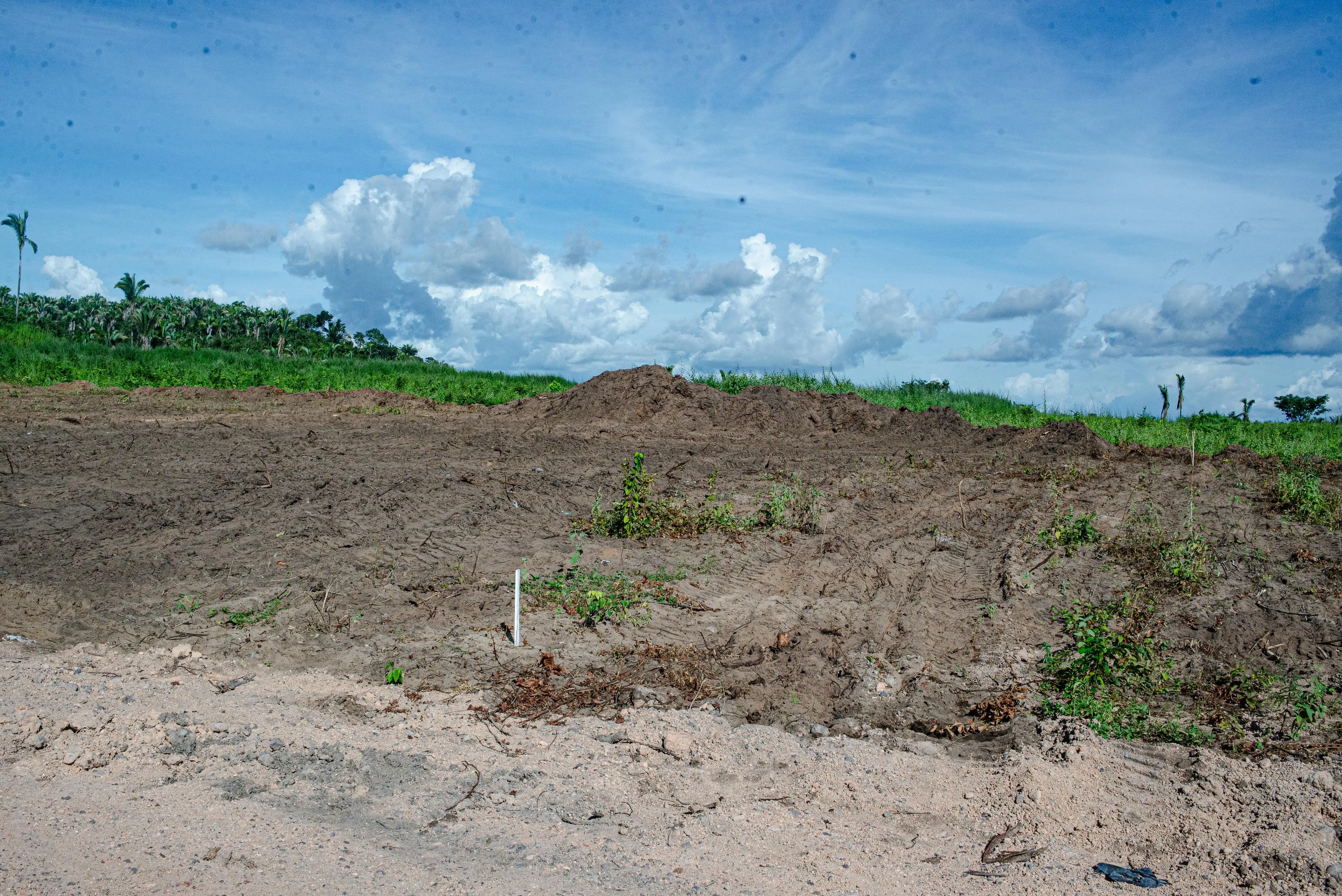 Galeria de imagens - Foto 7 da notícia: Prefeitura de Codó anuncia execução do programa “Minha Casa, Minha Vida”