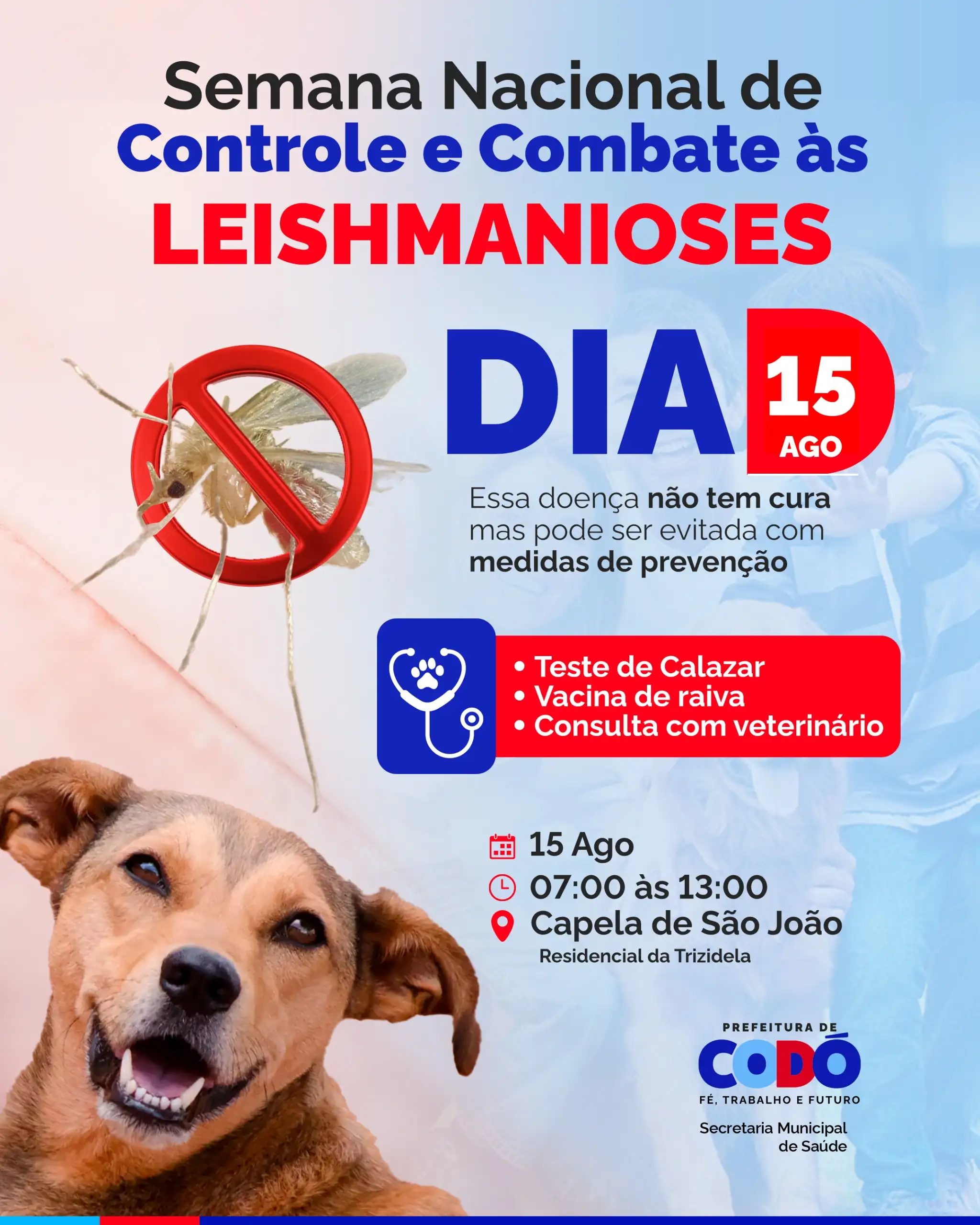 Prefeitura de Codó promove DIA D em combate à Leishmaniose